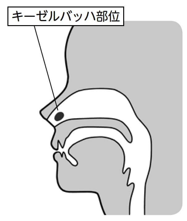 鼻血が止まらない！専門医の教える適切な鼻血の止め方の画像1