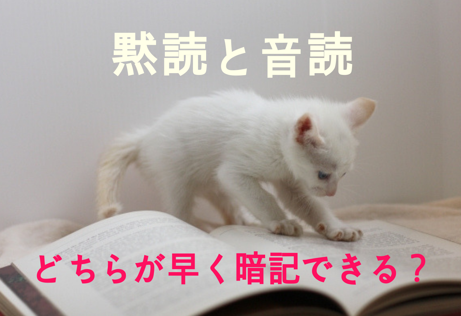 暗記するには黙読 音読 筆記のどれが一番効率的 とにかく回転法 １万年堂ライフ