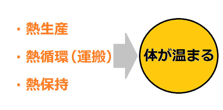 冷え症のはなし①冷え対策と熱中症対策、驚きの共通点。キーワードは「筋肉」の画像1