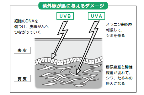 日本は紫外線対策が後れている！太陽と上手に付き合うための６つのアドバイスの画像1