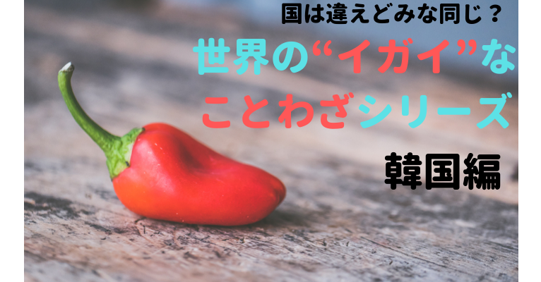 韓国のことわざ ソクダム ７つを紹介 唐辛子や犬から人生を学ぶ １万年堂ライフ