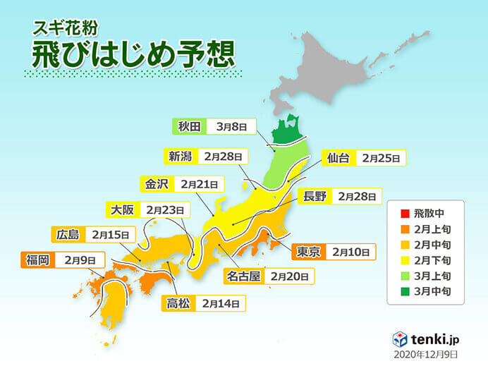 スギ花粉症対策はいつからがベスト？専門医が教える服用のタイミングの画像1