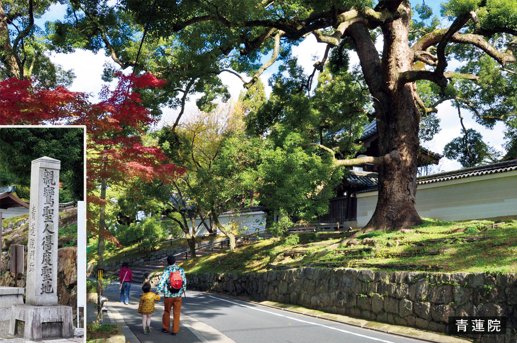 歎異抄の旅①［京都編］『歎異抄』ゆかりの地を歩むの画像5