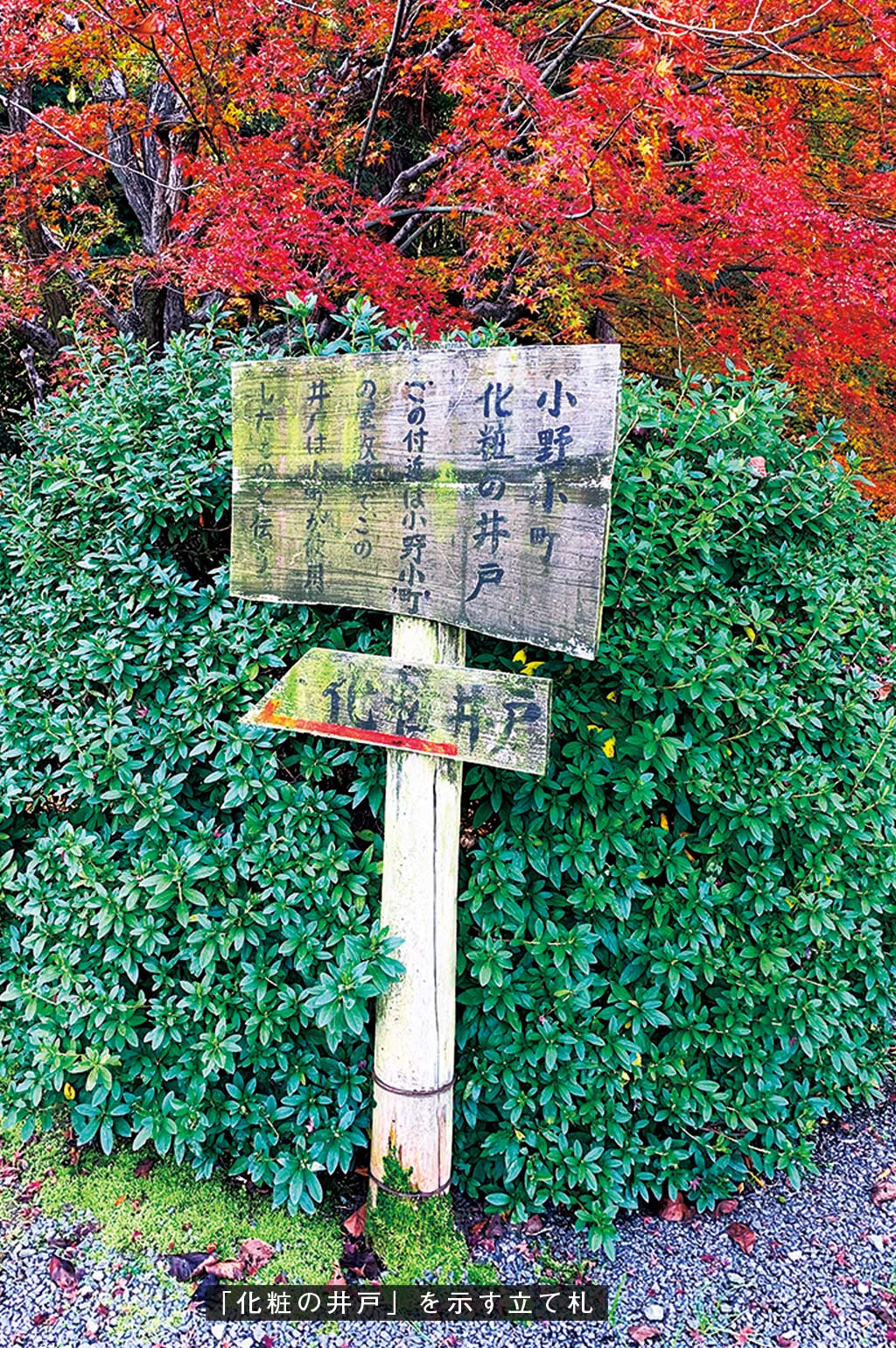 歎異抄の旅②［京都編］『歎異抄』ゆかりの地を歩むの画像3