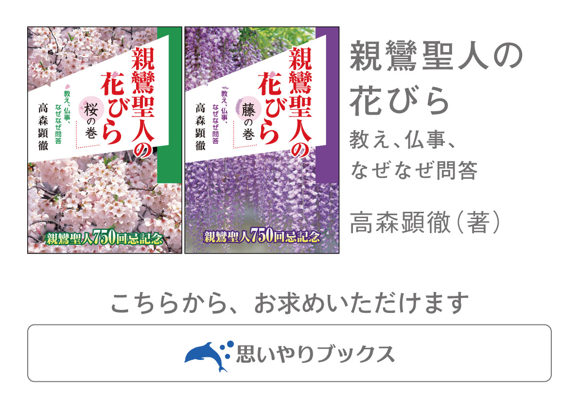 『親鸞聖人の花びら』を試し読みの画像20