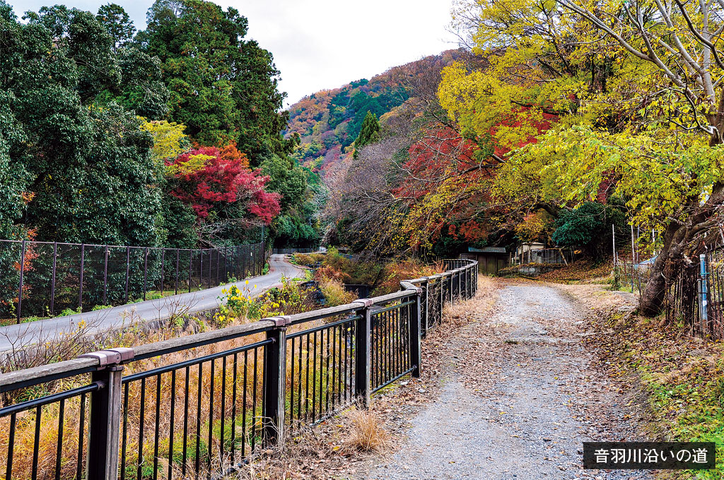 歎異抄の旅④［京都・比叡山編］『歎異抄』ゆかりの地を歩む〜『徒然草』『平家物語』も、私たちに問いかける「旅立つ先」とは？の画像7