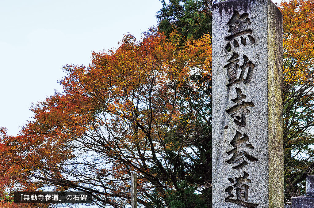 歎異抄の旅⑤［京都・比叡山編］『歎異抄』ゆかりの地を歩む〜どうして、比叡山へ修行に入ったのですか？の画像8