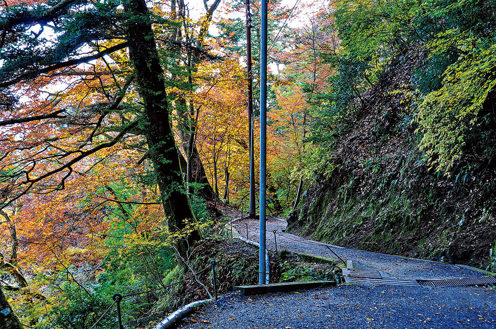 歎異抄の旅⑤［京都・比叡山編］『歎異抄』ゆかりの地を歩む〜どうして、比叡山へ修行に入ったのですか？の画像9