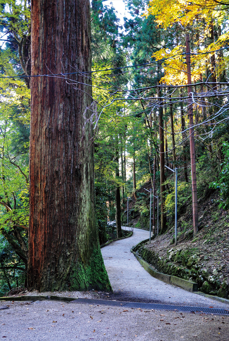 歎異抄の旅⑤［京都・比叡山編］『歎異抄』ゆかりの地を歩む〜どうして、比叡山へ修行に入ったのですか？の画像10