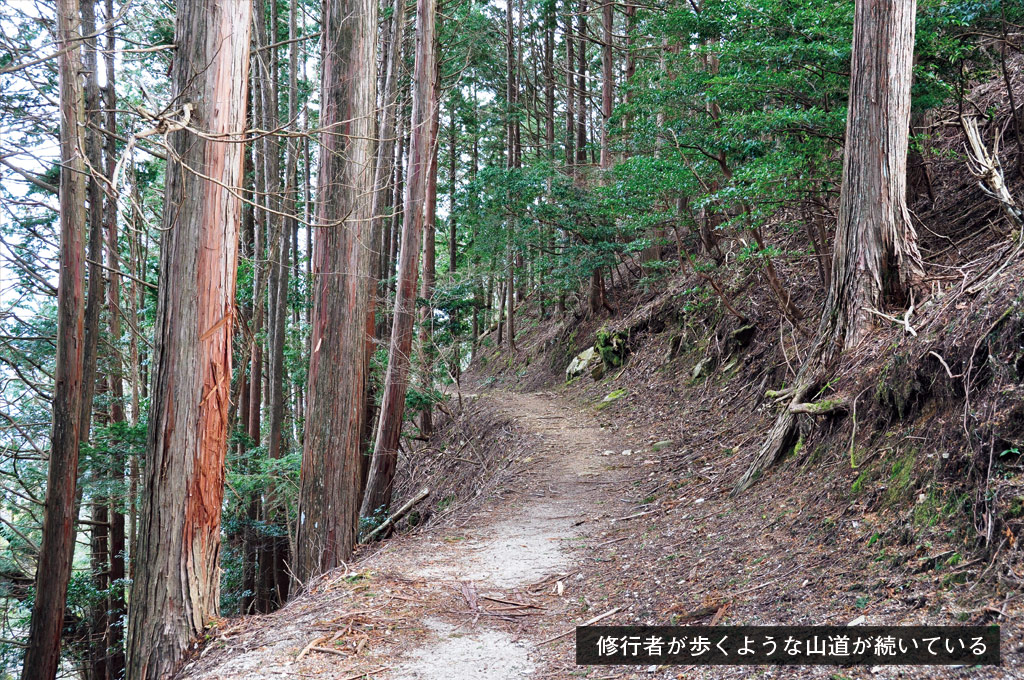 『土佐日記』の紀貫之が愛した琵琶湖の眺め 〜変わりやすい人の心、変わらない風景の画像3