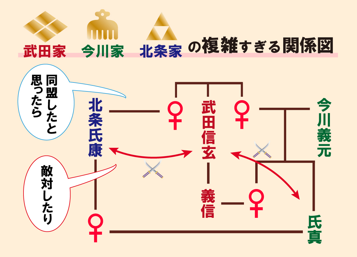 敵だらけの今川・武田・北条はなぜ生き残れた！？サバイバルを生き抜く三国同盟とは？【歴史教養クイズ】の画像19