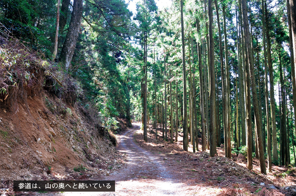 歎異抄の旅⑧［比叡山編］ 弁慶が迎える西塔地域、法然上人の黒谷報恩蔵への画像10