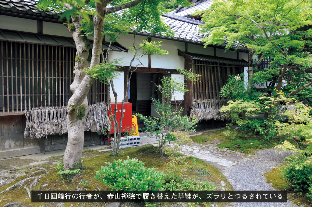 歎異抄の旅⑪［京都・滋賀編］ 恋する女性との出会い〜赤山明神の画像5