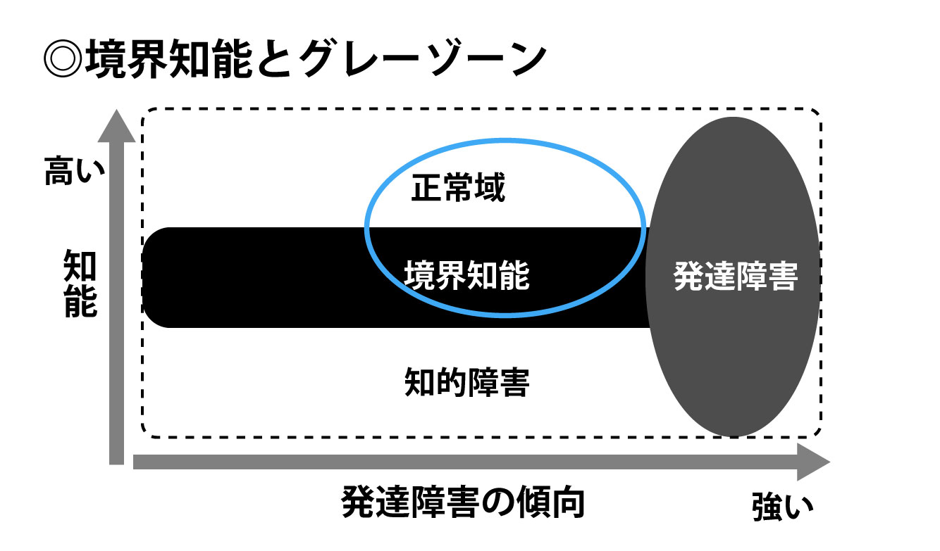 境界知能とグレーゾーン（発達障害傾向）