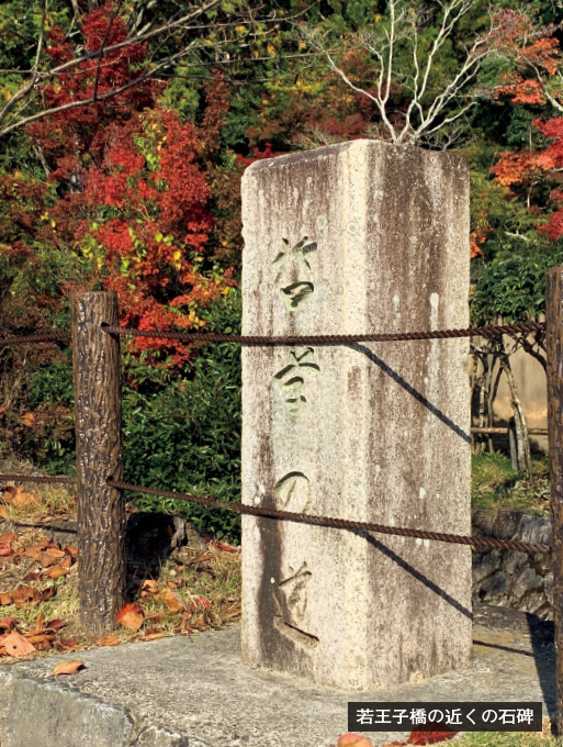 歎異抄の旅⑳［京都編］哲学の道と『歎異抄』の画像3