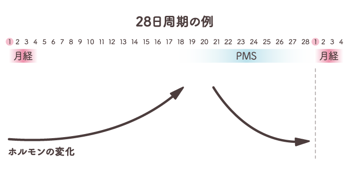 【田邉先生監修】生理前こそ要注意！PMS(月経前困難症)について詳しくご紹介の画像2