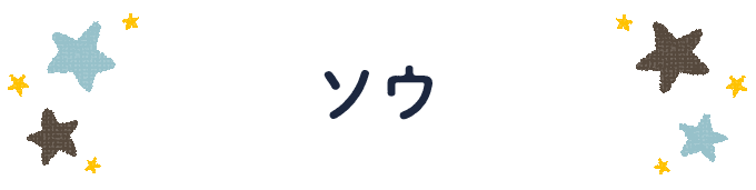 響きで決めよう！何度も呼びたくなる男の子の名前図鑑の画像3