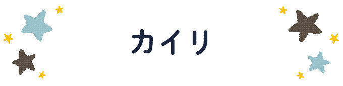 響きで決めよう！何度も呼びたくなる男の子の名前図鑑の画像13