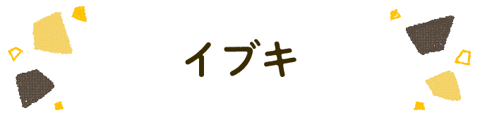 響きで決めよう！何度も呼びたくなる男の子の名前図鑑の画像71