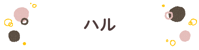 響きで決めよう！何度も呼びたくなる男の子の名前図鑑の画像35