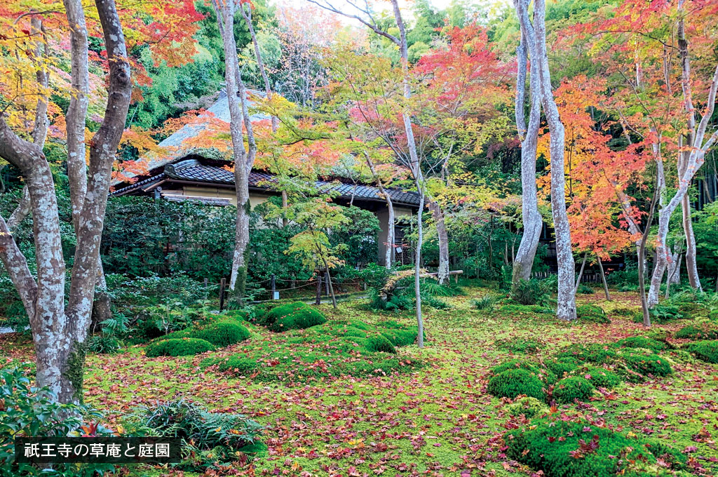 歎異抄の旅㉙［京都編］『平家物語』ゆかりの祇王寺１の画像4