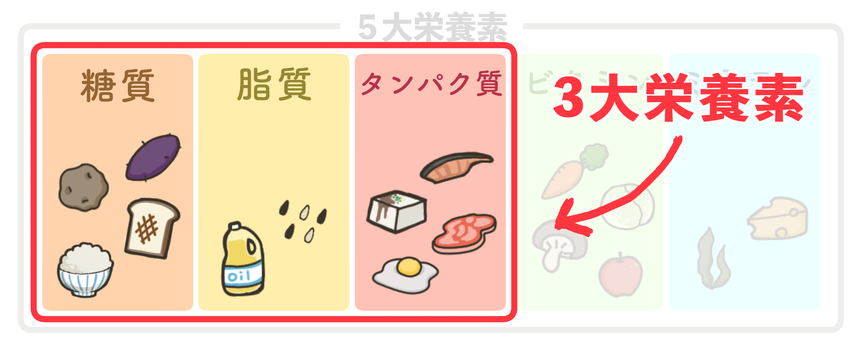 【確認用】フレイル・寝たきり予防に欠かせない食事バランスを紹介！高齢者の痩せすぎに注意の画像3