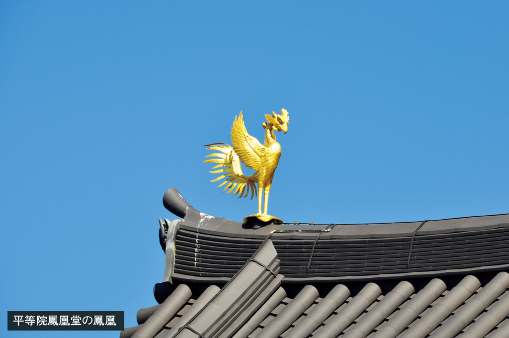 歎異抄の旅㉞［京都編］鳳凰堂に込めた、藤原氏の願い（前編）の画像3