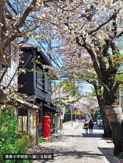 歎異抄の旅㊹［鎌倉編］鎌倉殿と『歎異抄』〜北条政子の手紙の画像4