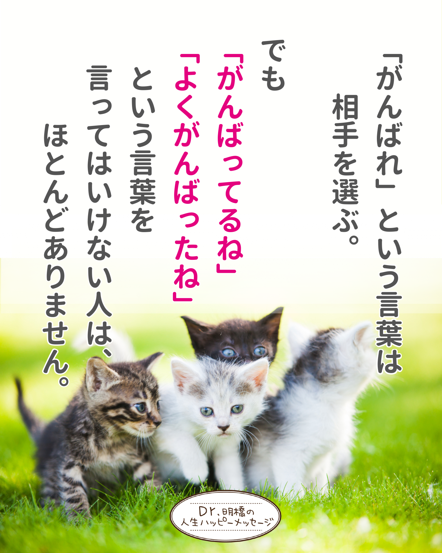 R5.2月17日 人生ハッピーメッセージの画像1
