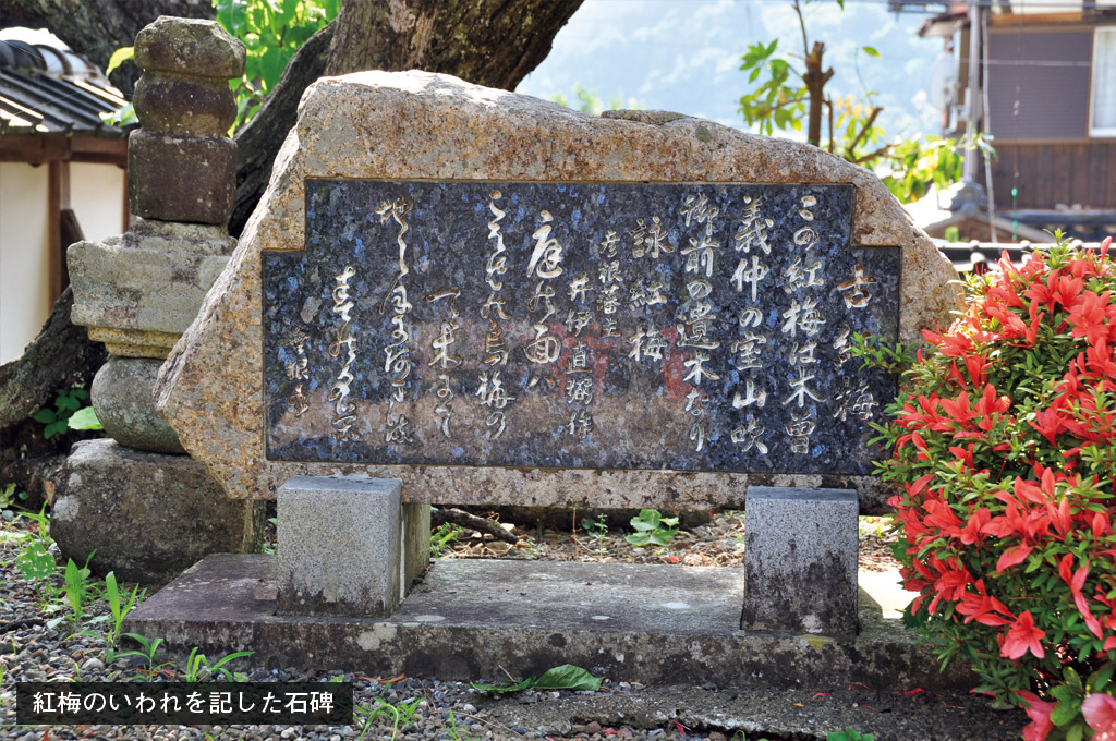 歎異抄の旅㊻［滋賀編］木曽義仲の遺児との出会いの画像12