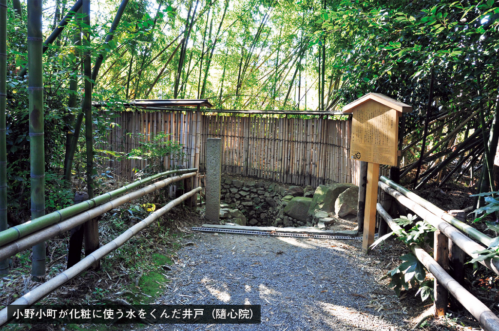 【百人一首】桜の花に、自分の容姿を重ねて歌った小野小町の画像2