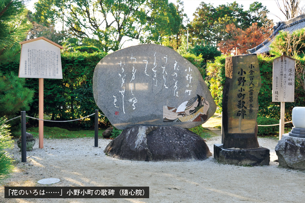 【百人一首】桜の花に、自分の容姿を重ねて歌った小野小町の画像3