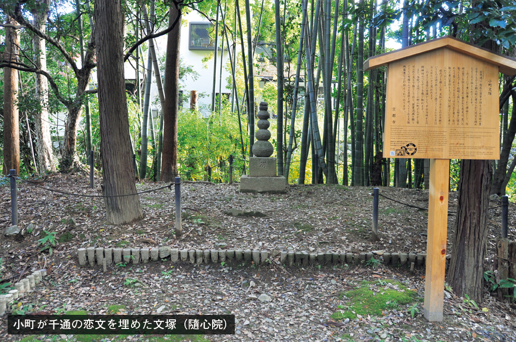 【百人一首】桜の花に、自分の容姿を重ねて歌った小野小町の画像4