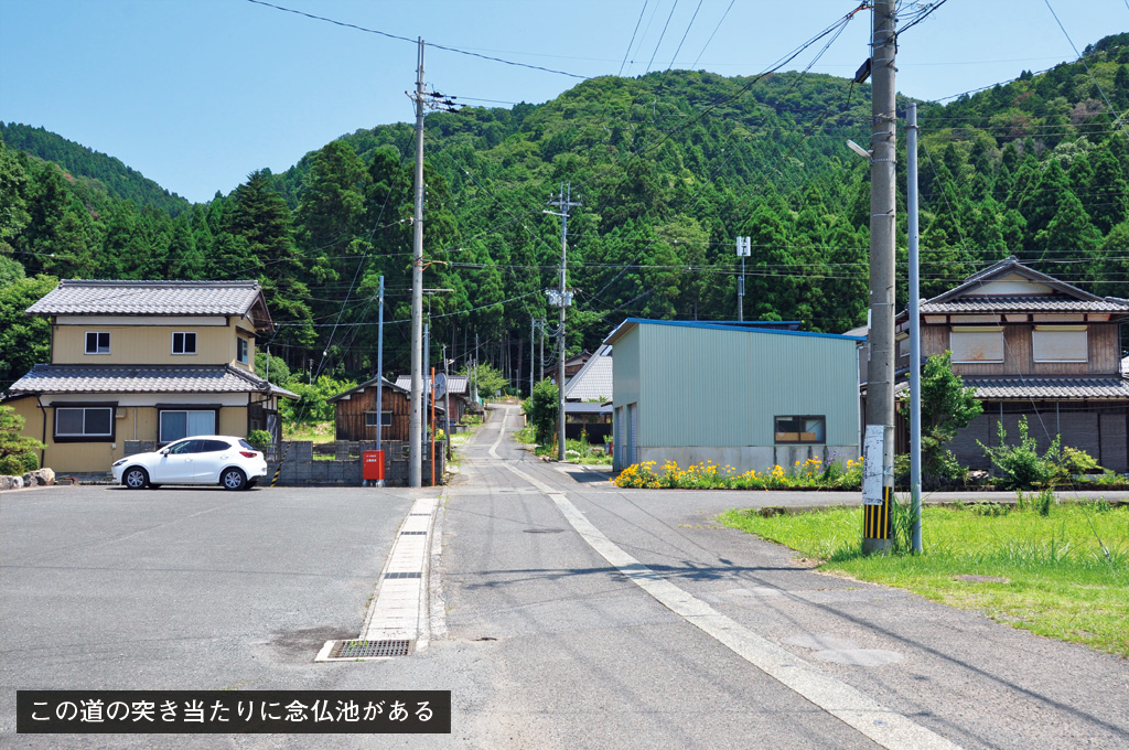 歎異抄の旅㊼［滋賀編］敦賀への山越え〜義経も苦しんだ険しい道の画像2