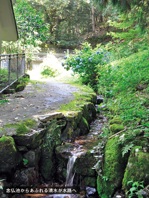 歎異抄の旅㊼［滋賀編］敦賀への山越え〜義経も苦しんだ険しい道の画像3