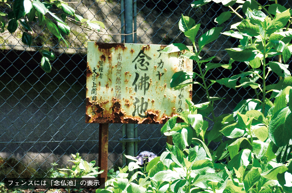 歎異抄の旅㊼［滋賀編］敦賀への山越え〜義経も苦しんだ険しい道の画像4