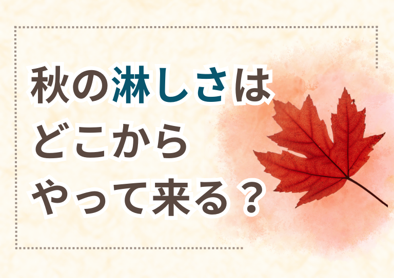 秋の淋しさは、どこからやって来る？の画像1