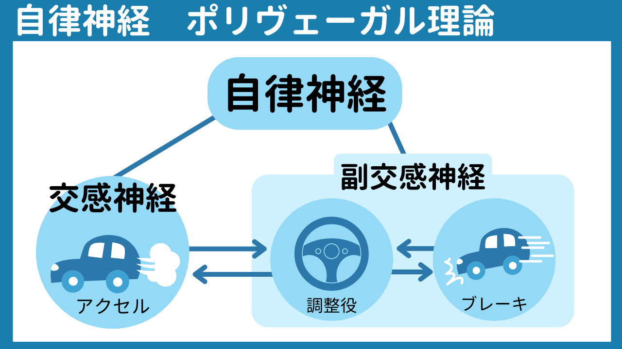 自律神経系から生きづらさの正体に迫る！～「ちょうどいい」がわからない状態②～の画像3