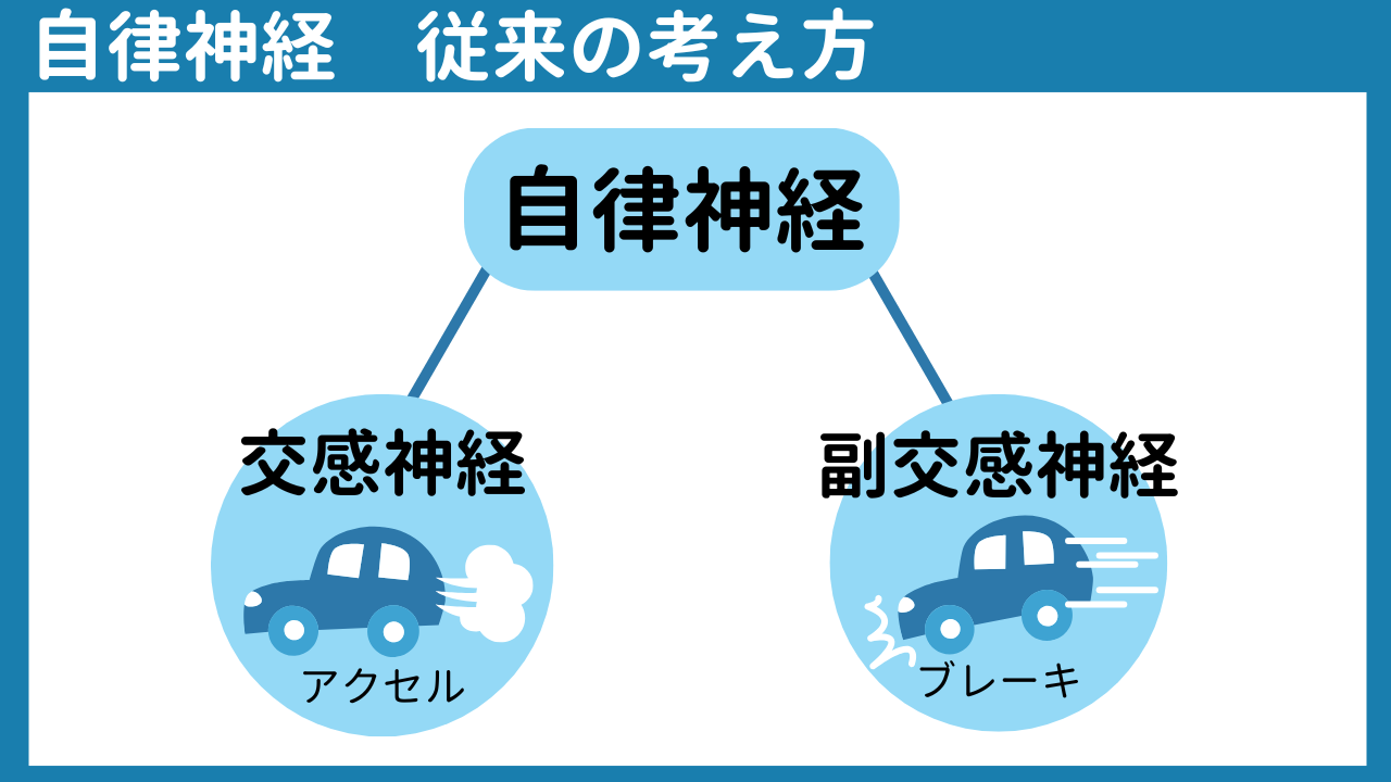 自律神経系から生きづらさの正体に迫る！～「ちょうどいい」がわからない状態②～の画像2