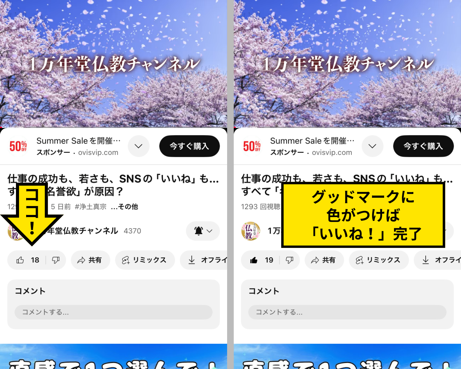 YouTubeガイドの画像12