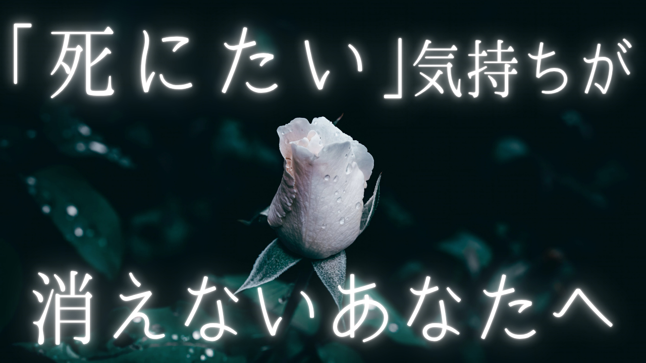 高木先生確認用の画像1