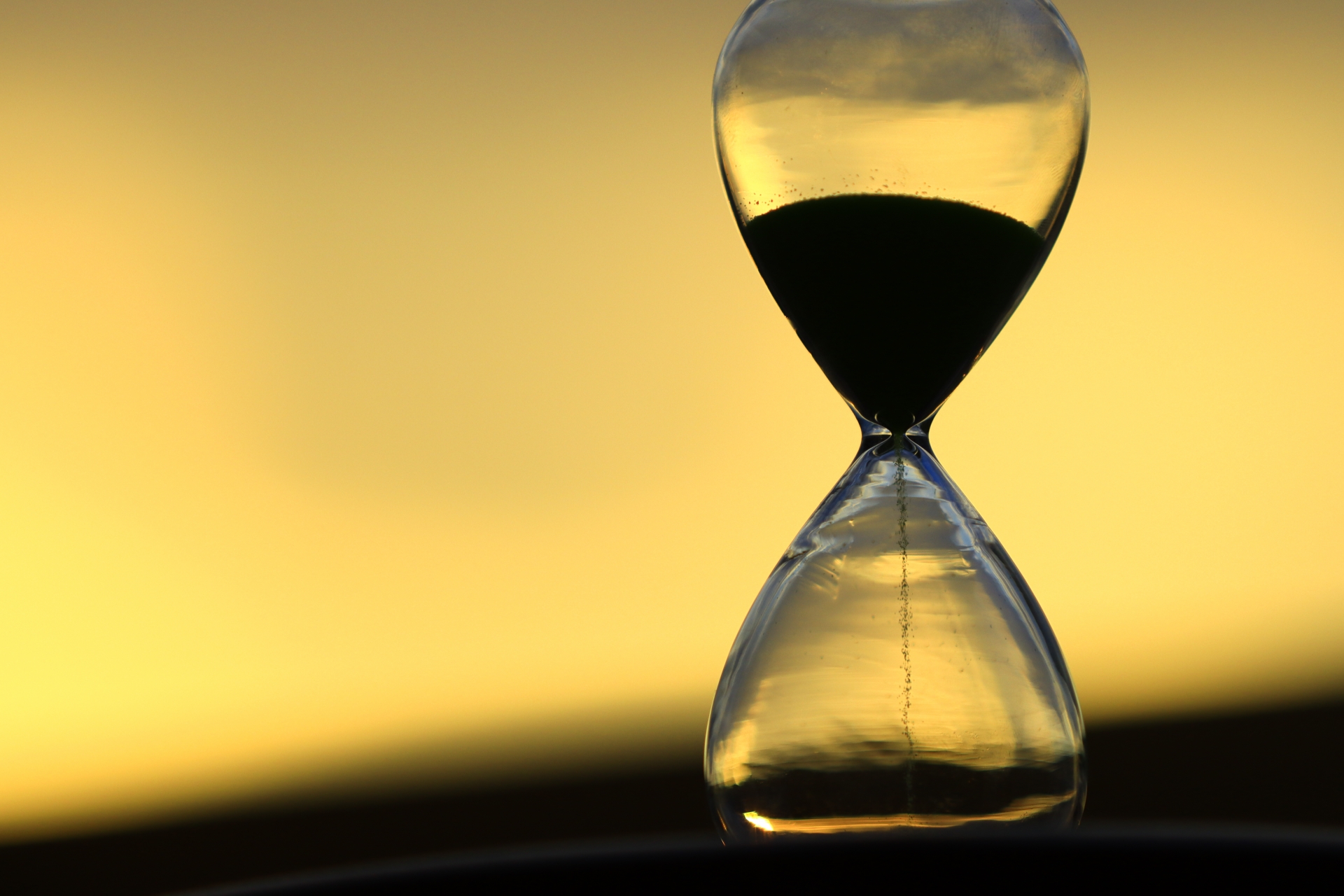 苦しくても生きなければならないのはなぜ? 親鸞聖人が説く「生きる意味」の画像2