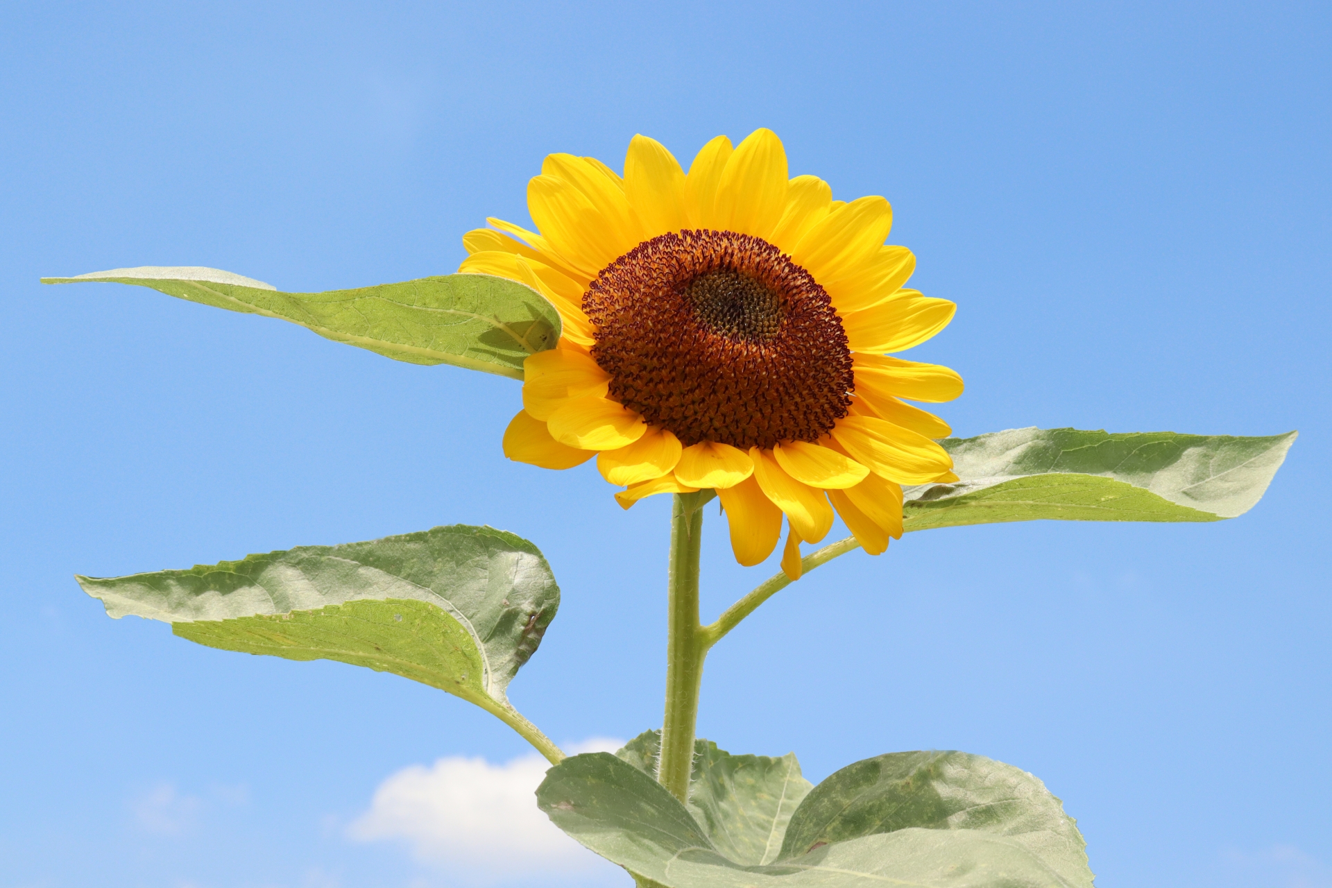 「いいことが起こる人」の共通点。人生に幸せを呼ぶ6つの習慣の画像2