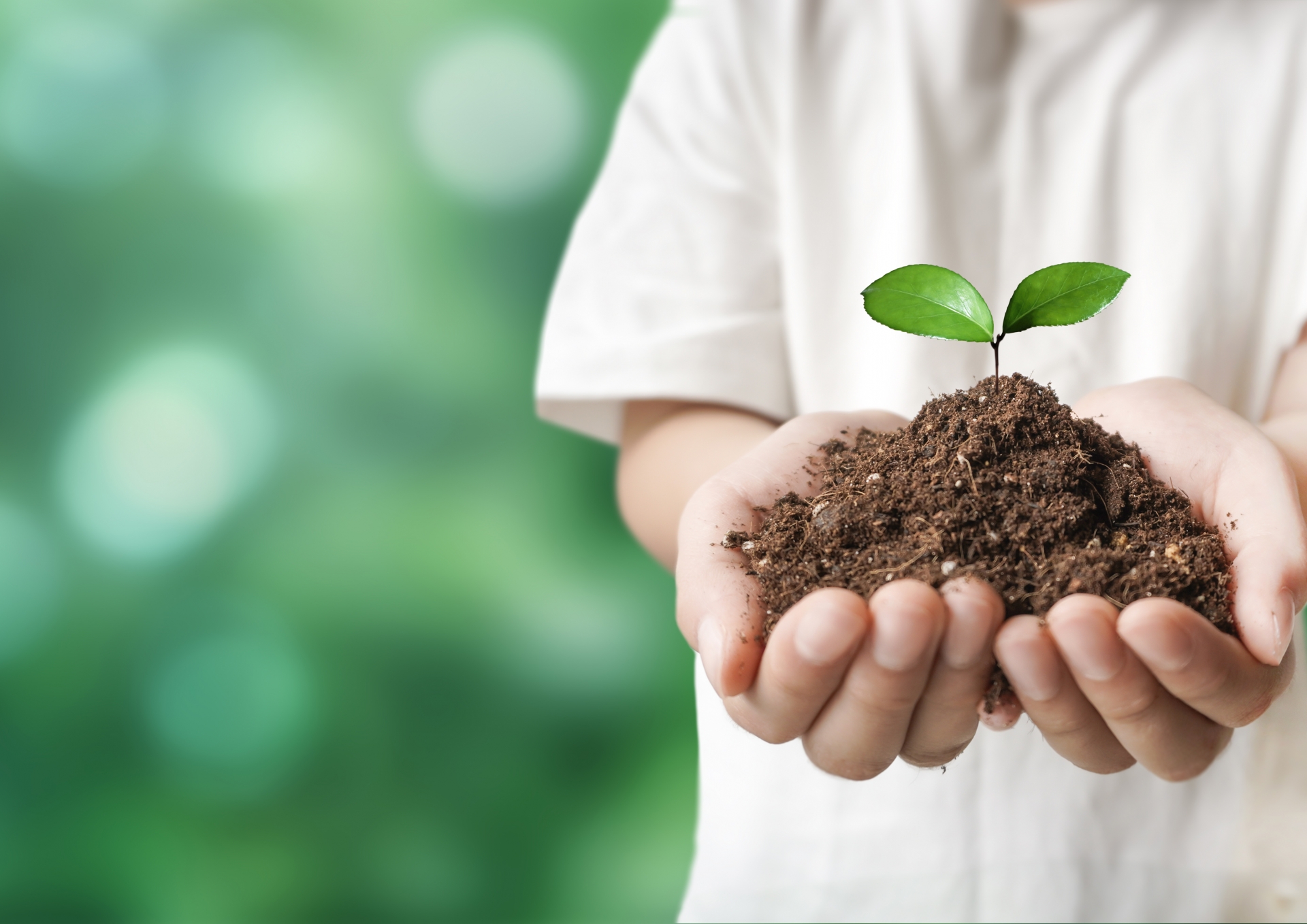 子どもの「心の根っこ」は育っている？　見えない成長の確かめ方の画像2