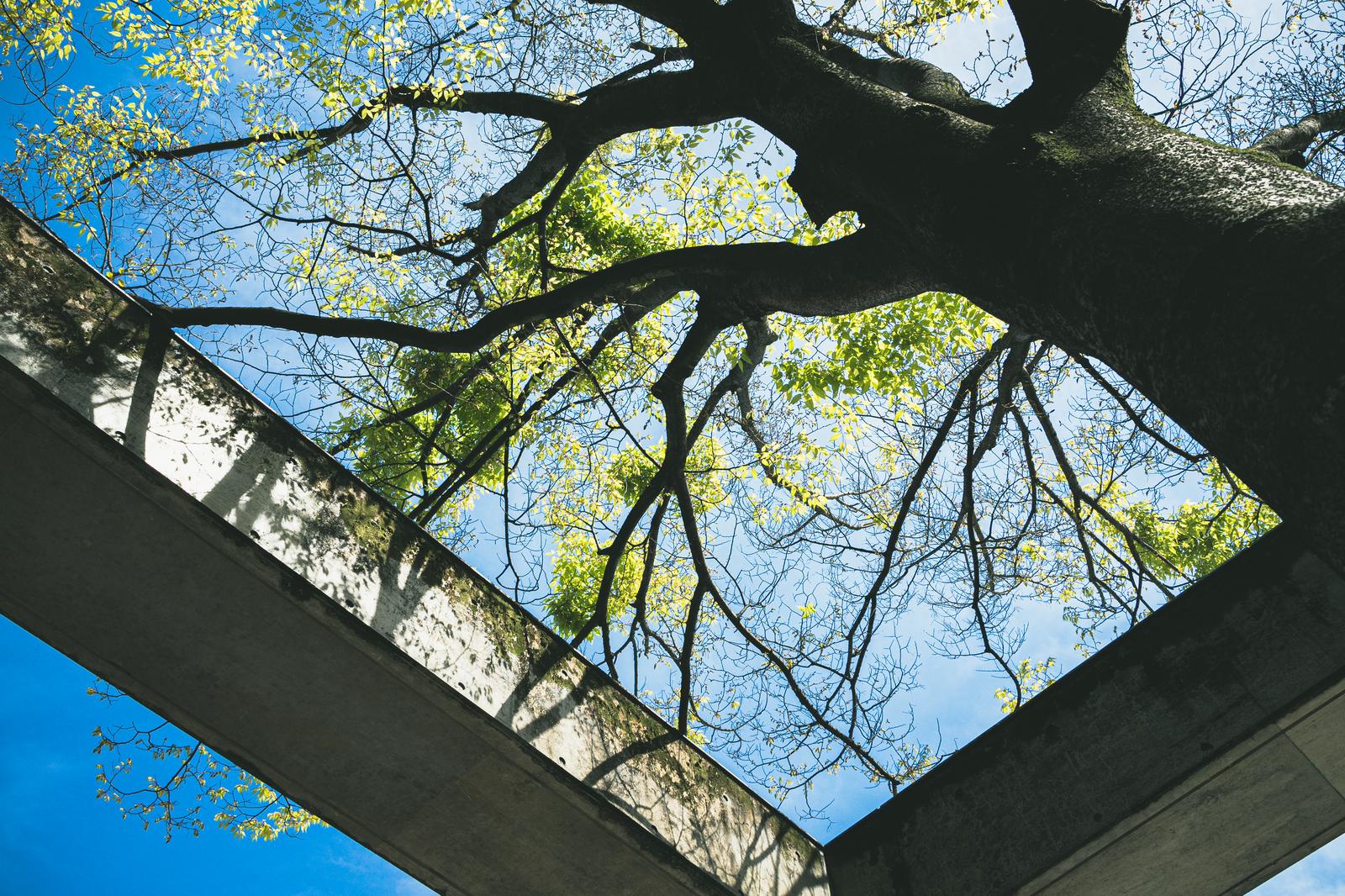 困った人は、困っている人~自分を責めないための「外在化」~の画像5